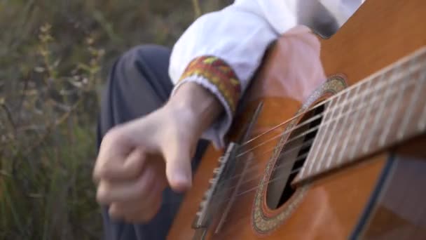Музикант Грає Гітарі Природі Під Час Сидіння Серед Поля Hdr — стокове відео