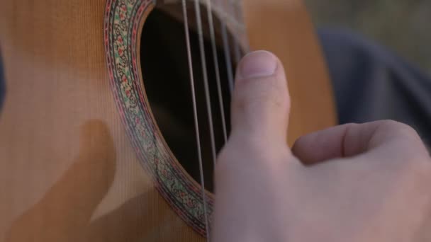 Músicos Close Tocam Guitarra Natureza Enquanto Estão Sentados Campo Hdr — Vídeo de Stock