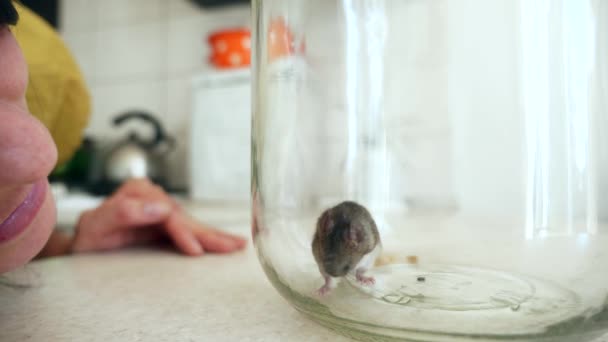 Großaufnahme Hausfrau Blick Auf Verängstigte Maus Gefangen Glasflasche Auf Küchentheke — Stockvideo