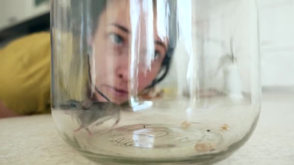 Close Housewife Looking Scared Mouse Trapped Glass Bottle Kitchen Counter — Stock Video