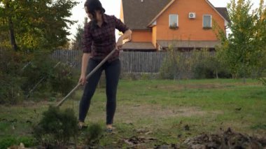 Genç Bayan Rakes Yapraklar. Anne, Oğul ve Kedi 'yle birlikte arka bahçeyi temizliyor. Sonbahar Akşamı. Yavaş çekim