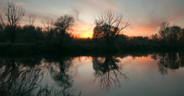 Schöner Sonnenuntergang Über Bäumen Und Fluss Abendhimmel Reflexion Über Wasser — Stockvideo