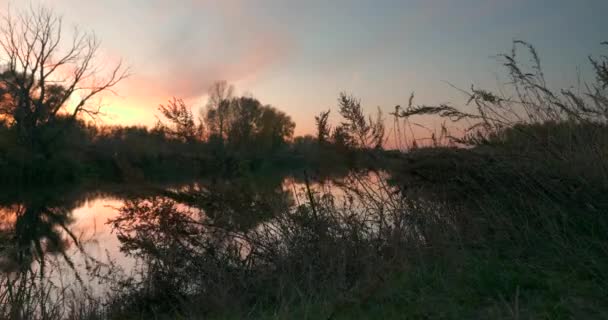 キャンプ場は川の近く 夕方の空の美しい夕日 田舎の風景 田園風景 — ストック動画