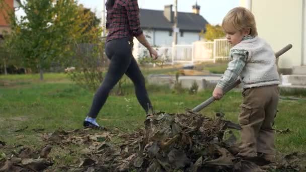 Маленькие Детские Листья Мальчик Помогает Убираться Заднем Дворе Осенние Вечерние — стоковое видео