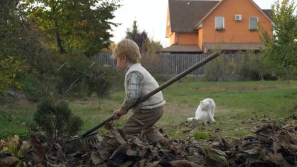 Rakiety Dla Dzieci Odchodzą Chłopak Pomaga Sprzątać Podwórku Jesienna Scena — Wideo stockowe