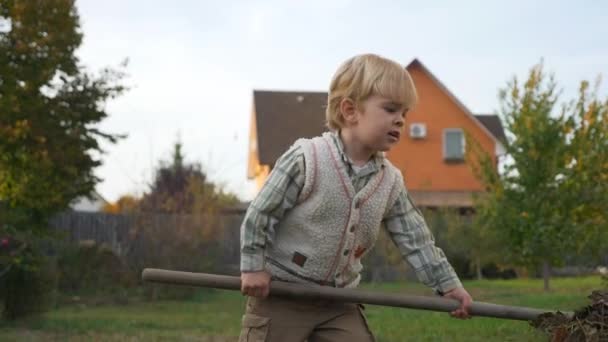Dziecko Pyta Rodzic Coś Child Rakes Odchodzi Chłopak Pomaga Sprzątać — Wideo stockowe