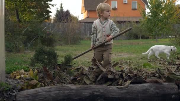 Kisgyerek Gereblye Levelek Fiú Segít Takarítani Kertben Őszi Vidéki Jelenet — Stock videók