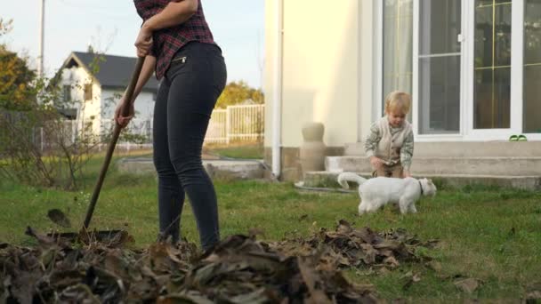 Young Woman Rakes Leaves Madre Con Hijo Gato Son Limpieza — Vídeos de Stock