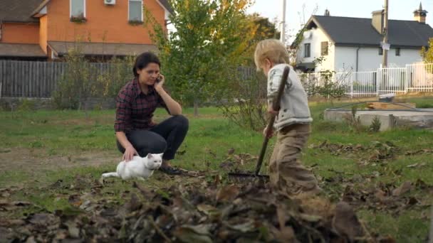 Маленькие Детские Листья Мальчик Помогает Убираться Заднем Дворе Осенние Вечерние — стоковое видео