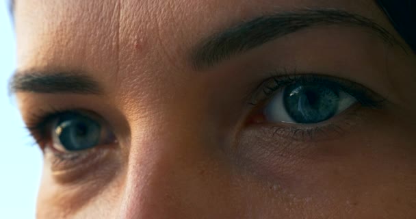 Primer Plano Macro Human Female Blue Eyes Inglés Pestañas Para — Vídeo de stock