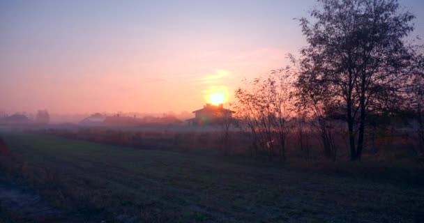 Sate Houses Morning Mist Fog Peisaj Rural Peisaj Fundal Peisaj — Videoclip de stoc