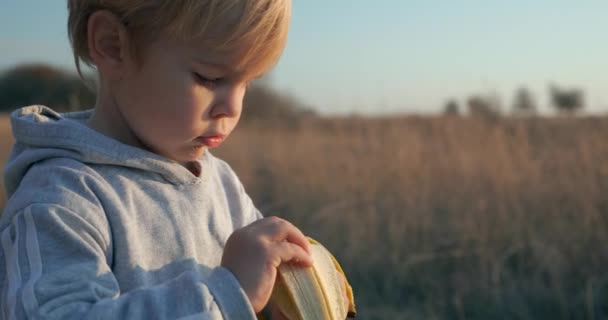 Niño Hambriento Come Plátano Sabroso Luz Del Sol Campo Rural — Vídeo de stock