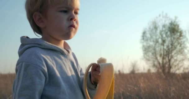 Bambino Affamato Mangia Banane Saporite Sera Luce Del Sole Contesto — Video Stock