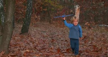 Küçük Çocuk ormanda uçakla koşuyor. Field yakınlarında Autumn Grove. Akşam Kırsal Doğa Sahnesi