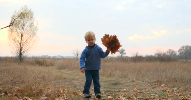 Lilla Pojken Med Lönnlöv Springer Skogen Autumn Grove Field Kvällstid — Stockvideo