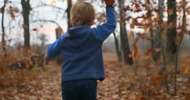 Μικρό Αγόρι Τρέχει Αεροπλάνο Στο Δάσος Φθινοπωρινό Άλσος Βραδιά Εξοχή — Αρχείο Βίντεο