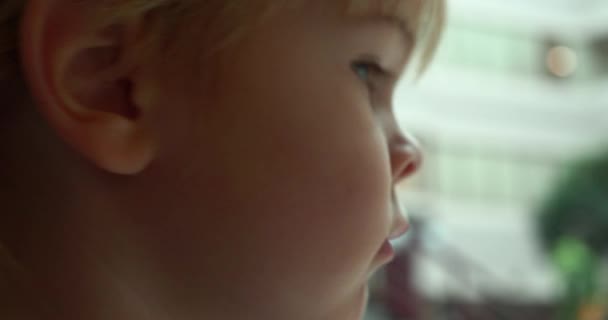 Маленький Хлопчик Чекає Разом Батьками Адміністрації Бізнес Центру Крупним Планом — стокове відео