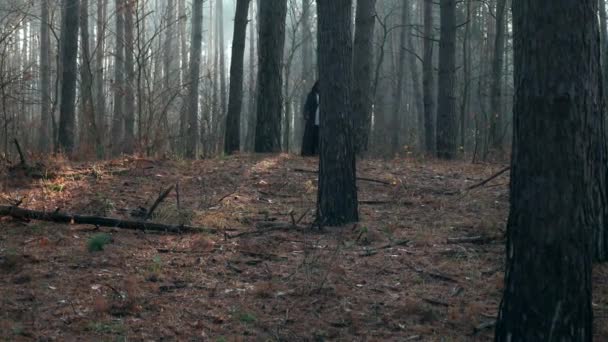 Wędrowiec Czarnym Płaszczu Krowa Idzie Przez Mglisty Las Wędrujący Mnich — Wideo stockowe