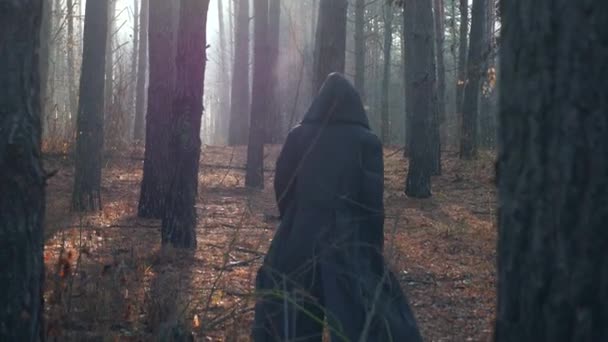 Wanderer Black Cloak Cowl Cammina Attraverso Foresta Nebbiosa Pellegrino Monaco — Video Stock