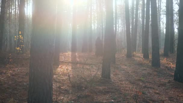 在黑斗鸡场散步穿过迷雾森林的流浪者 流浪的和尚朝圣者 秋天的早晨神秘的旅行者 2X慢动作60 Fps — 图库视频影像