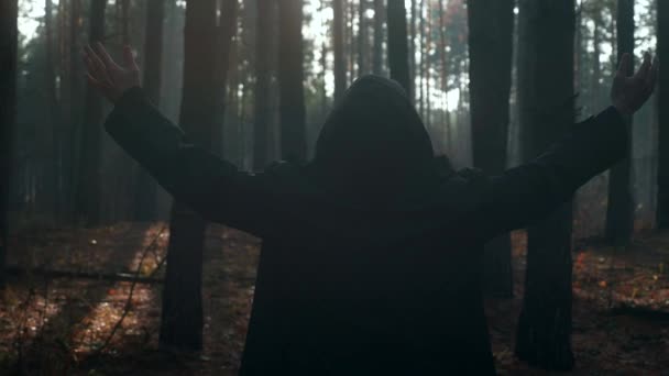 和尚举手祷告 漂泊的朝圣者穿着黑色斗篷 猫头鹰在雾林中祈祷 秋天的早晨2X慢动作60 Fps — 图库视频影像