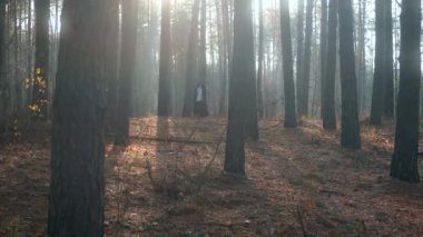 Kara Pelerinli Gezgin, Pelerinli Ormanda Yürüyor. Gezgin Keşiş Pilgrim. Sonbahar Sabahı. Gizemli Gezgin. 2x Yavaş çekim 60 fps 4K