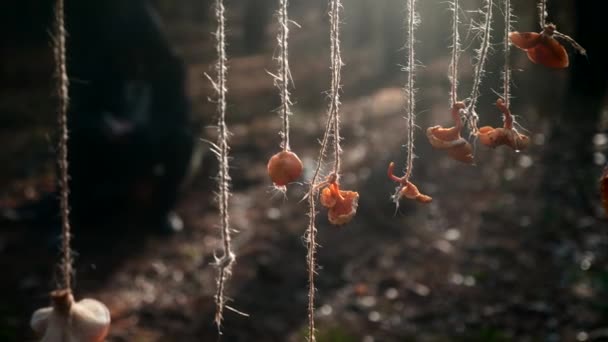 Trocknen Von Pilzen Hängt Seil Auf Dem Hintergrund Einsame Einsiedelei — Stockvideo