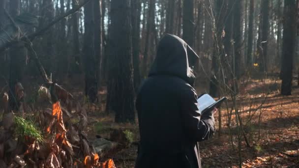 Monnik Zwarte Kap Staat Met Bijbel Zonneschijn Misty Wood Herfstochtend — Stockvideo