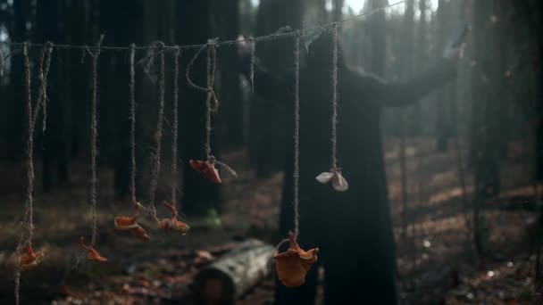 Secar Cogumelos Pendurados Corda Fundo Solitário Recluse Hermit Monk Reading — Vídeo de Stock