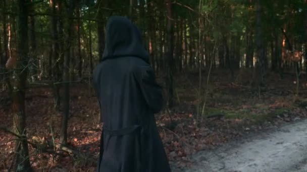 Poutník Černém Plášti Cowl Prochází Mlžným Lesem Putující Mnich Poutník — Stock video
