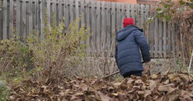Boy Rakes Arka Bahçede Yapraklar. Soğuk Sonbahar Havası Ağır çekim 4K 10-bit 