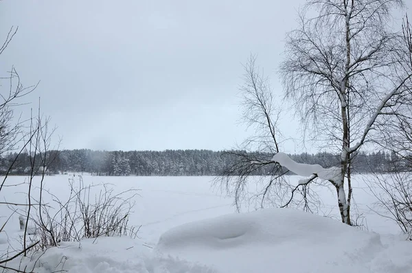 冬の風景 雪の凍った湖近くの屋根付きバーチ — ストック写真