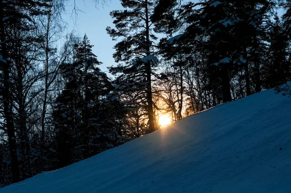 冬の風景 雪に覆われた丘の中腹に森林に沈む夕日 — ストック写真