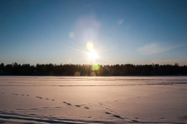 Günbatımı donmuş göl ve çam ormanı içinde. Karda ayak izleri.