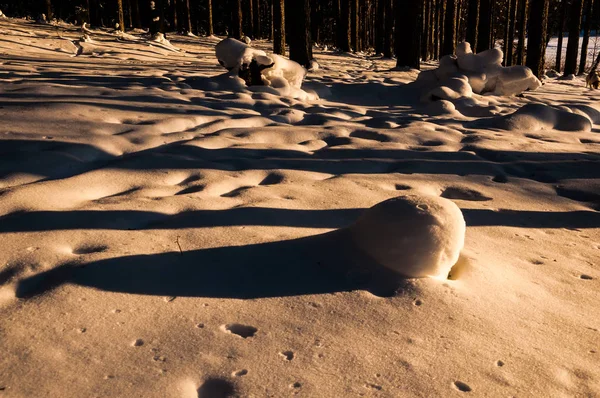 Kış Ormanda Günbatımı Snowdrifts Güneş Işınları Ağaçların Gölgeleri — Stok fotoğraf