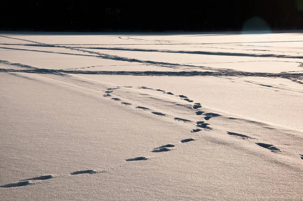 Footsteps Tracks Snow Frozen Lake — Stock Photo, Image