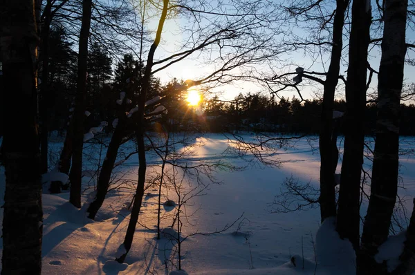 Belle Scène Hiver Coucher Soleil Sur Lac Gelé Recouvert Neige — Photo