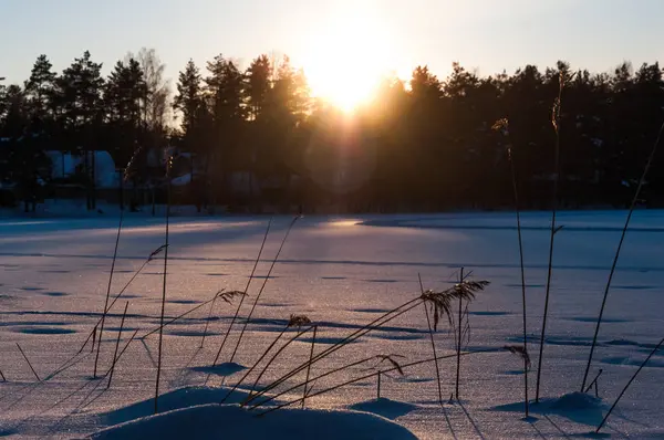 美しい冬景色。雪で覆われた凍った湖の夕日. — ストック写真