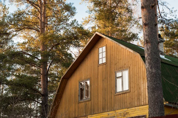Casa de madeira no pinhal de verão — Fotografia de Stock