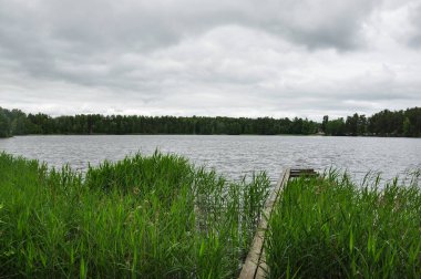 Balıkçılık iskele. Yeşil sazlık bulrush Gölü sahilinde