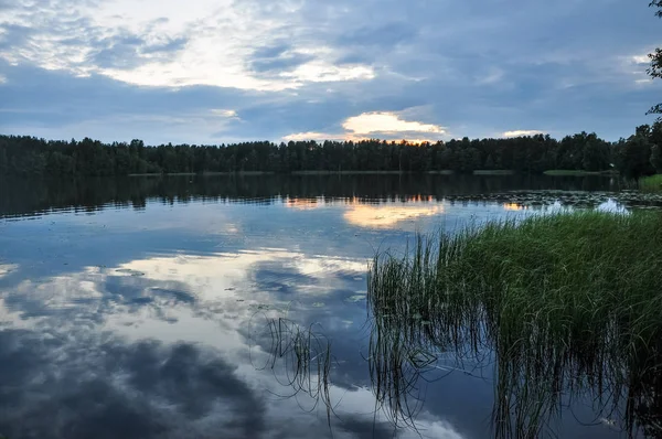 Západ Slunce Jezeře Twilght Večer Rákosí Pobřeží Letní Krajina — Stock fotografie