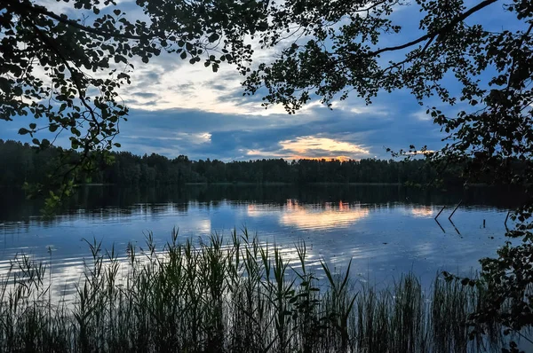 Matahari Terbenam Danau Senja Hari Reeds Pantai Lanskap Pedesaan Musim — Stok Foto