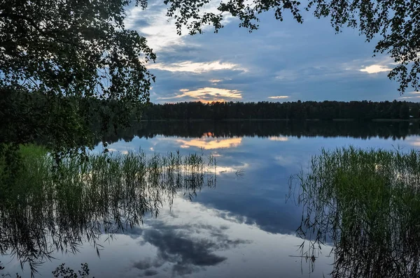 黄昏在湖面上 Twilght 在海岸上的芦苇 夏季乡村景观 — 图库照片