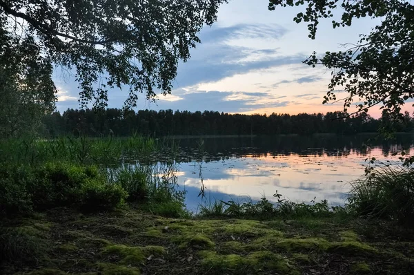 Puesta Sol Lago Crepúsculo Tarde Cañas Costa Verano Paisaje Rural — Foto de Stock