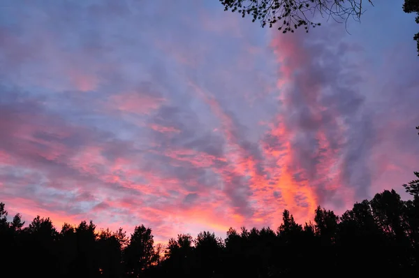 Розовые Облака Небе Закате — стоковое фото
