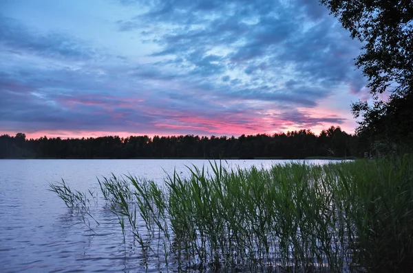 Matahari Terbenam Danau Senja Hari Reeds Pantai Lanskap Pedesaan Musim — Stok Foto