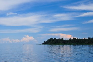 Ladoga Gölü sahilinde orman üzerinde Cumulus bulutları ile mavi gökyüzü.