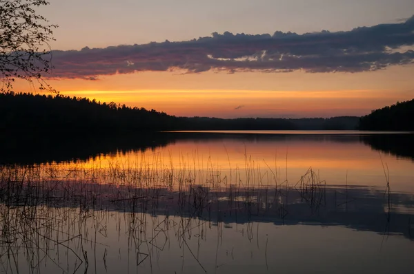 Прекрасный Закат Озере Тростники Воде Лесу Красно Оранжевом Розовом Облачном — стоковое фото