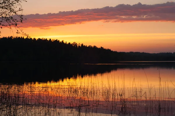 Matahari Terbenam Yang Indah Danau Reeds Water Forest Red Orange — Stok Foto