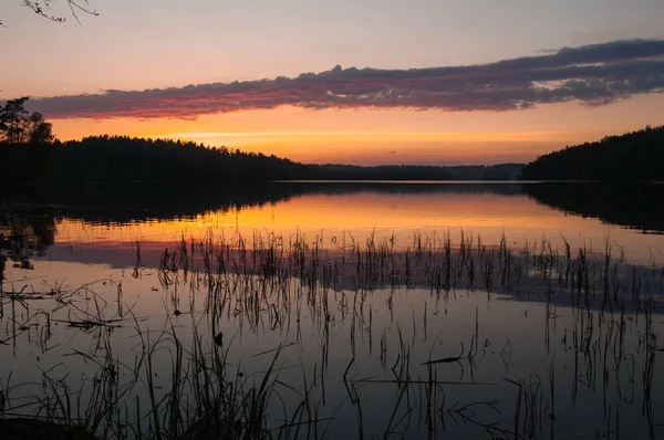 Hermosa Puesta Sol Lago Cañas Agua Bosque Rojo Naranja Rosa — Foto de Stock